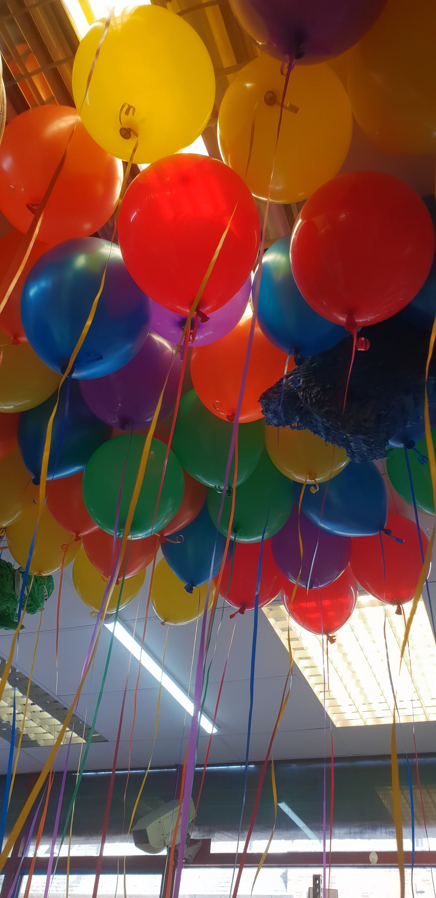 Multi Color Latex Ceiling Balloons